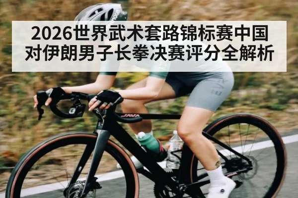 2026世界武术套路锦标赛中国对伊朗男子长拳决赛评分全解析