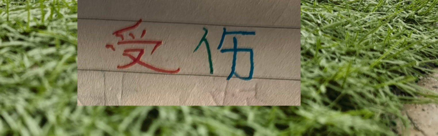 PG麻将胡了-也是扯平！重庆让了李镇全+阿马杜 申花伤特谢拉 盖伊