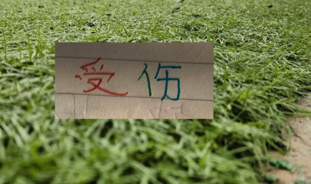 PG麻将胡了-也是扯平！重庆让了李镇全+阿马杜 申花伤特谢拉 盖伊